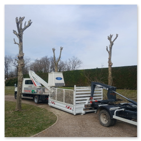 Éco Benne 16 - Location de benne | Débarras | Élagage Angoulême Charente