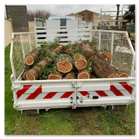 Élagage Abattage Angoulême Charente Cognac Barbezieux